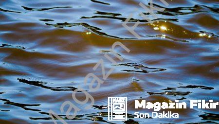 Morfik Rezonans: Bilinmeyen Doğanın Sırları