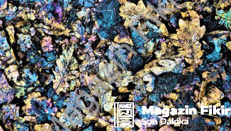 Nörogerontoloji: Yaşlanmanın Beyin Üzerindeki Etkisi