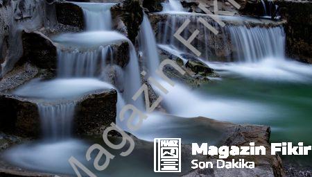 Morfik Rezonans: Doğanın İlginç Sırrı