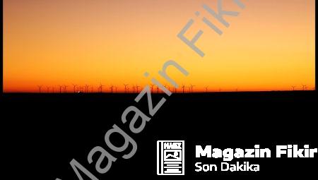 Morfik Rezonans: Doğanın Şekilleri Üzerindeki Gizemleri Ortaya Çıkarma