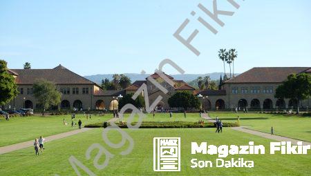 Giotto Akademi Sanatı