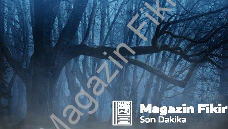 Gece Gezer Gündüz Kaçar