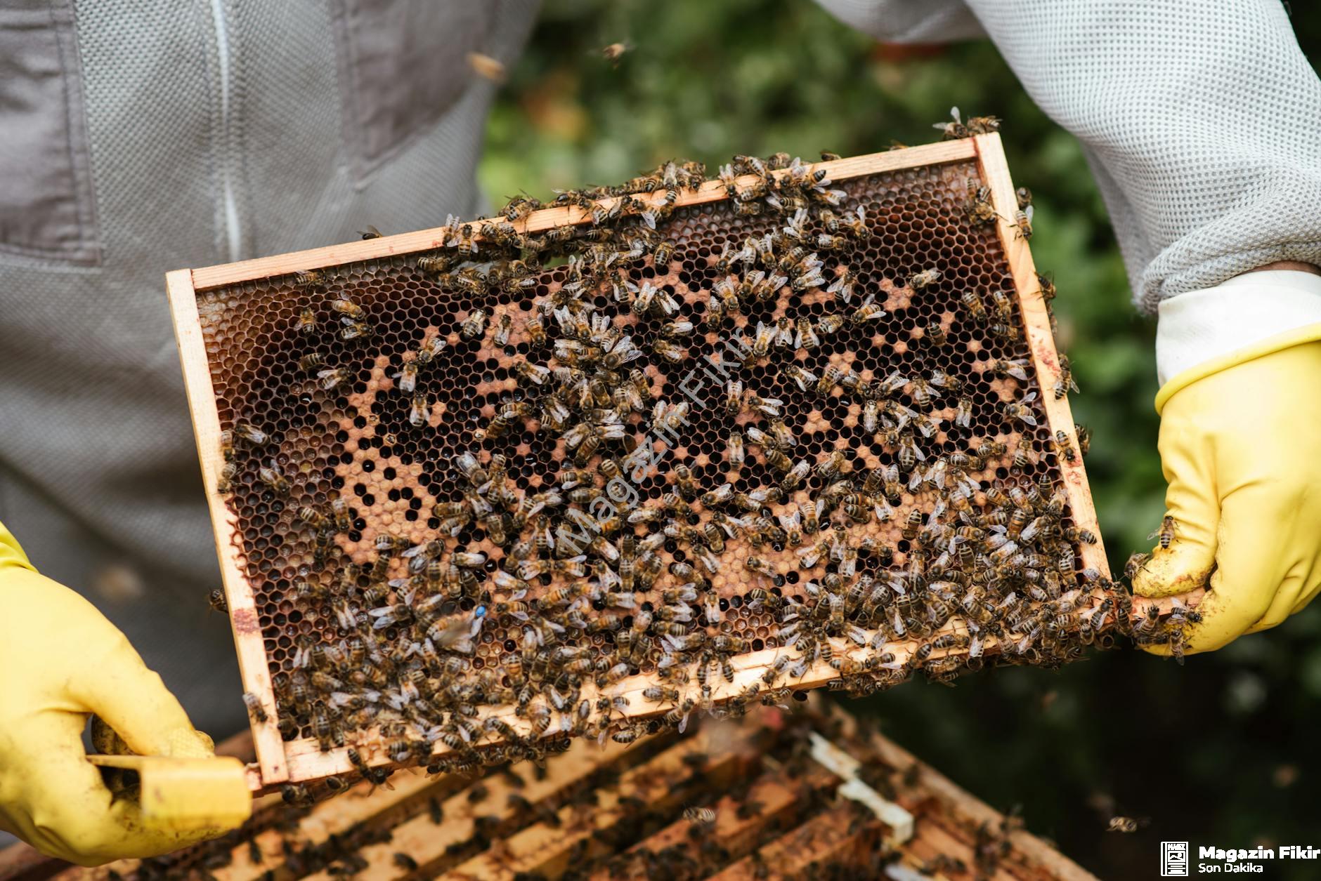 ISO 22000: Gıda Güvenliği Eğitimleri ve Denetimleri