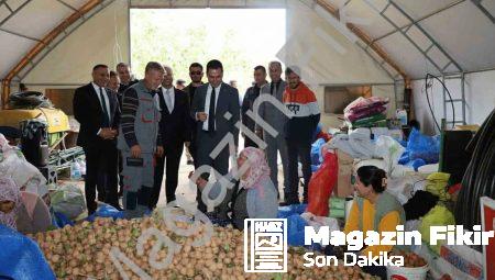 Dinar’da ceviz sezonu bereketle açıldı: Üretici memnun