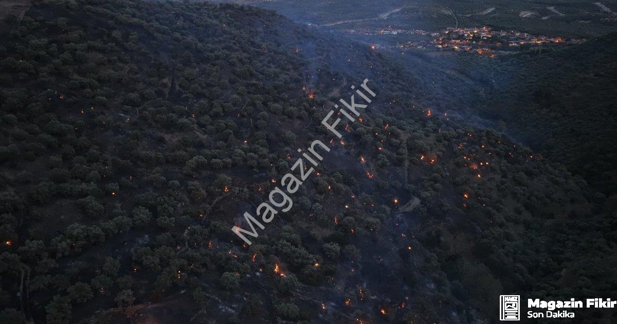 "Aydın Bozdoğan Yangınında Son Durum: Alevler Kontrol Altına Alındı" başlıklı haber için fotorealist