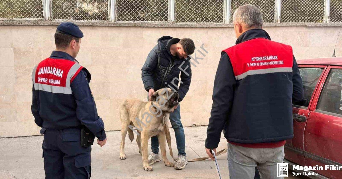 "Afyonkarahisar'da Köpek Dövüşü Vahşetine Dronlu Darbe: 12 Gözaltı" başlıklı haber için fotorealisti