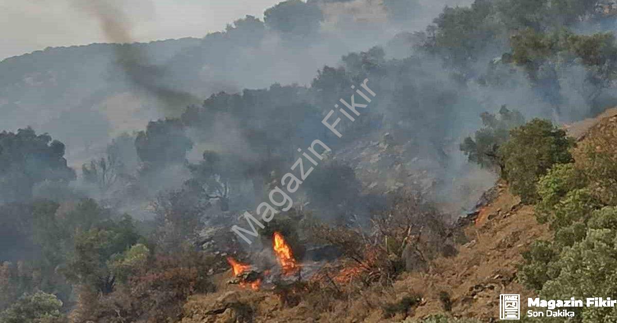 "Aydın Bozdoğan'da Korkutan Orman Yangını: Rüzgarla Mücadele Sürüyor" başlıklı haber için fotorealis