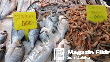 Foça Balık Hali’nde Kış Bereketi: Sardalya ve Uskumru Revaçta