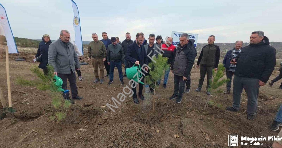 "Kütahya'da Anlamlı Vefa: Yusuf Sezai Sevil Adına Hatıra Ormanı" başlıklı haber için fotorealistik,