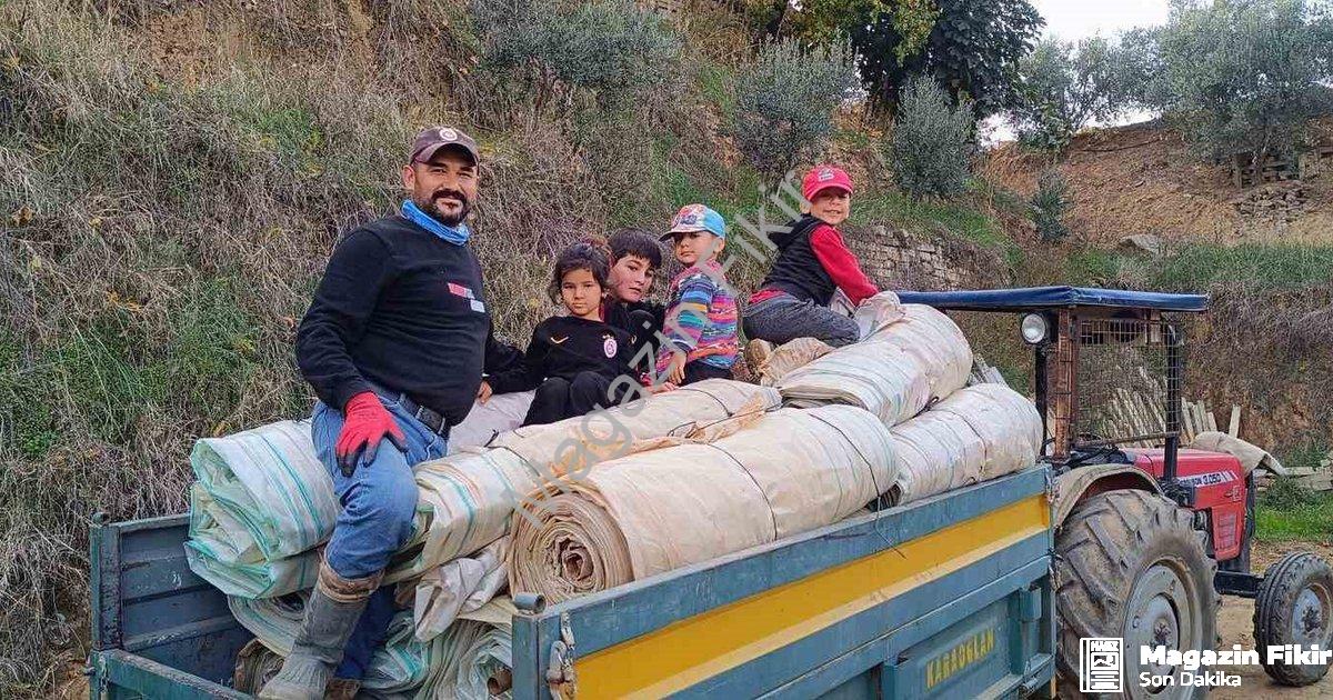 "Sarıgöl'de Hasat Sonrası Telaş: Bağlarda Örtüler Toplanıyor" başlıklı haber için fotorealistik, pro
