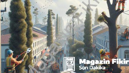 Afyonkarahisar’da Ağaç Budama Çalışmaları İçin Önemli Uyarı