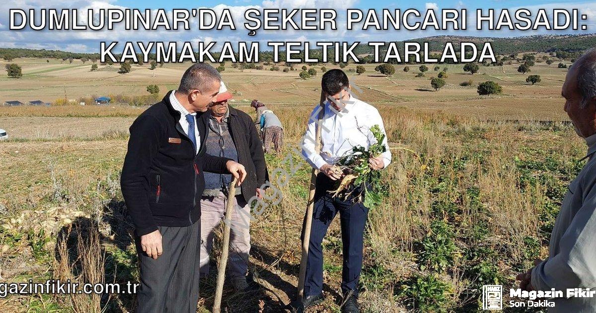 "Dumlupınar'da Şeker Pancarı Hasadı: Kaymakam Teltik Tarlada" başlıklı haber için fotorealistik, pro