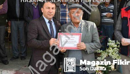 Tavas’ta Zeytin Üreticileri Okullu Oldu: Hasat ve Sertifika Heyecanı