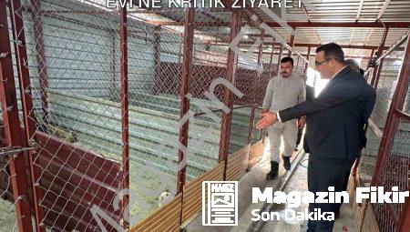 Sarıgöl Kaymakamı Dalak’tan Hayvan Bakım Evi’ne Kritik Ziyaret