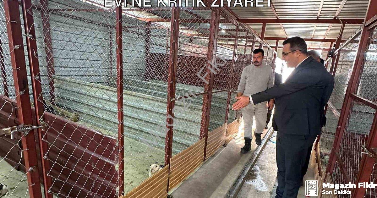 "Sarıgöl Kaymakamı Dalak'tan Hayvan Bakım Evi'ne Kritik Ziyaret" başlıklı haber için fotorealistik,