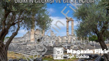 Başkan Gençay’dan Anlamlı Mesaj: Zeytin, Didim’in Geçmişi ve Geleceğidir