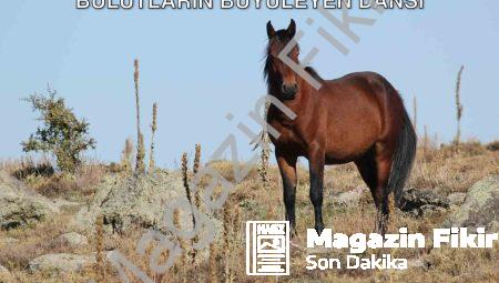 Afyonkarahisar’da Yılkı Atları ve Bulutların Büyüleyen Dansı