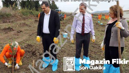 Dalaman Cezaevinde Tarımsal Dönüşüm: Sakız Ağaçları Toprakla Buluştu