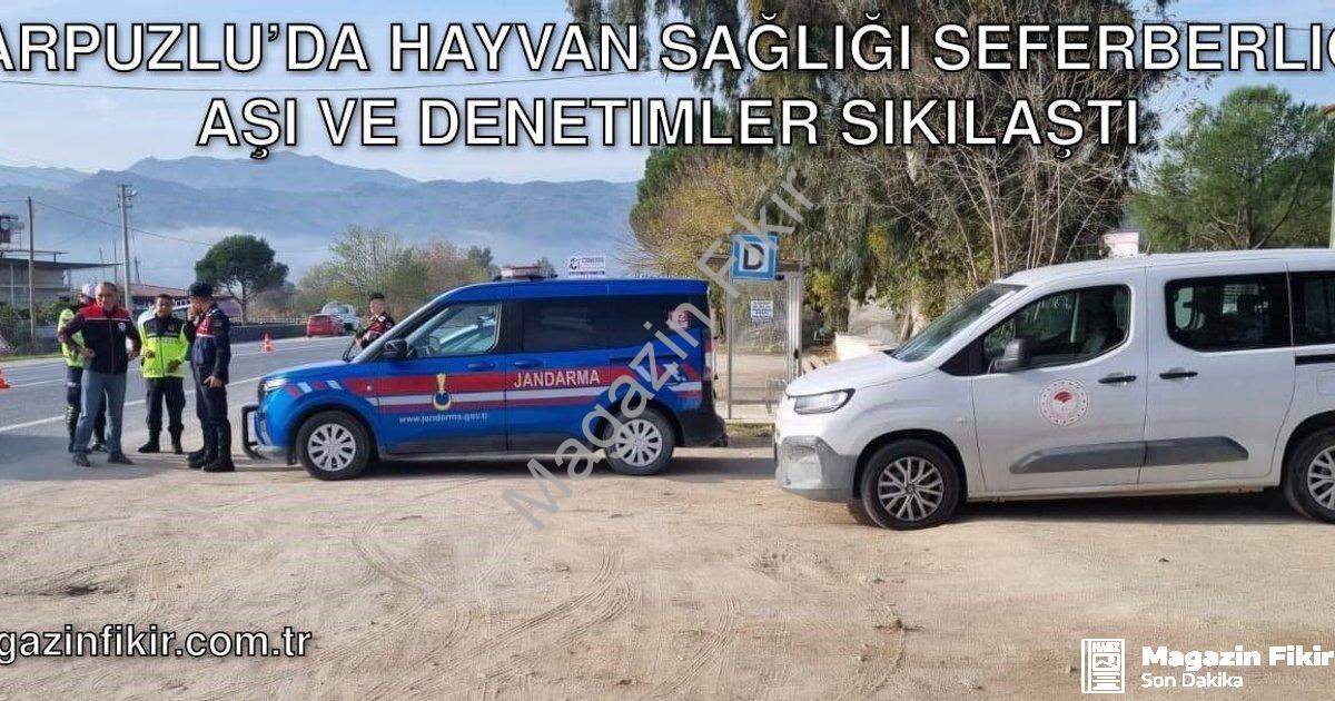 "Karpuzlu’da Hayvan Sağlığı Seferberliği: Aşı ve Denetimler Sıkılaştı" başlıklı haber için fotoreali