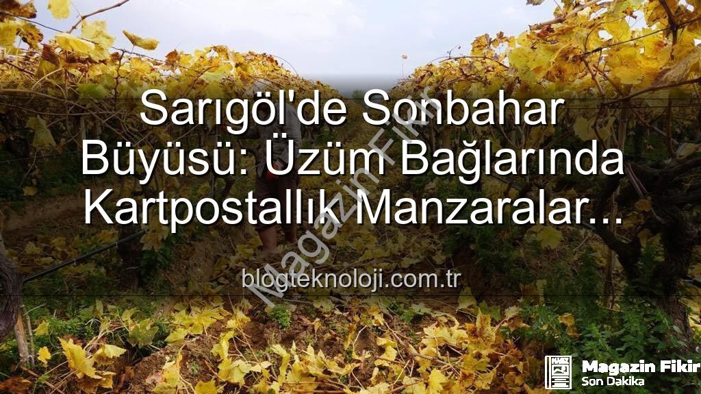 Sarıgöl budama - Sarıgöl'de Sonbaharın Büyüsü: Bağlarda Kartpostallık Görüntüler Eşliğinde Budama Maratonu Başladı