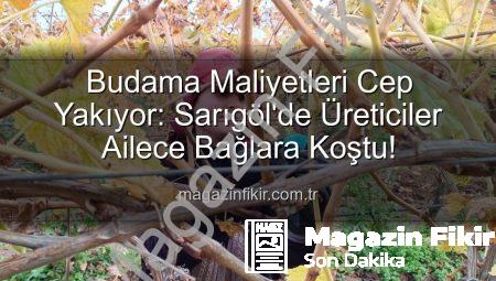 Budama Maliyetleri Cep Yakıyor: Sarıgöl’de Üreticiler Ailece Bağlara Koştu!