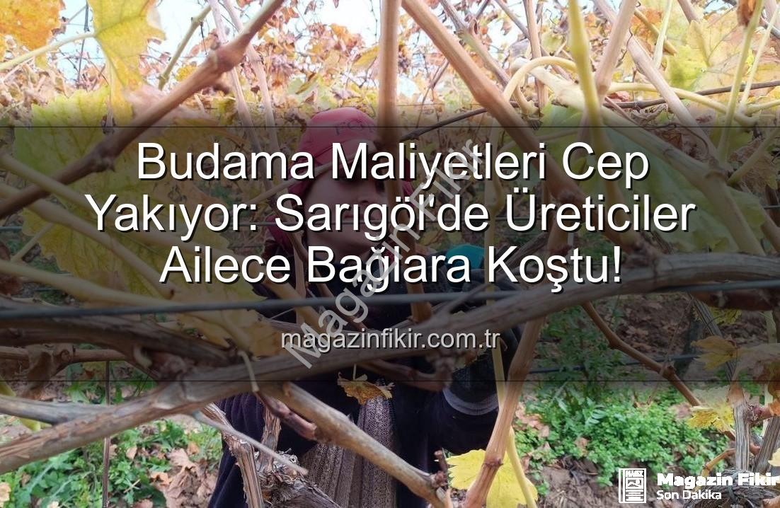 budama maliyeti - Budama Maliyetleri Cep Yakıyor: Sarıgöl'de Üreticiler Ailece Bağlara Koştu!