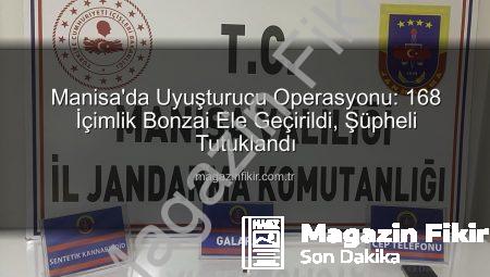Manisa’da Uyuşturucu Operasyonu: 168 İçimlik Bonzai Ele Geçirildi, Şüpheli Tutuklandı