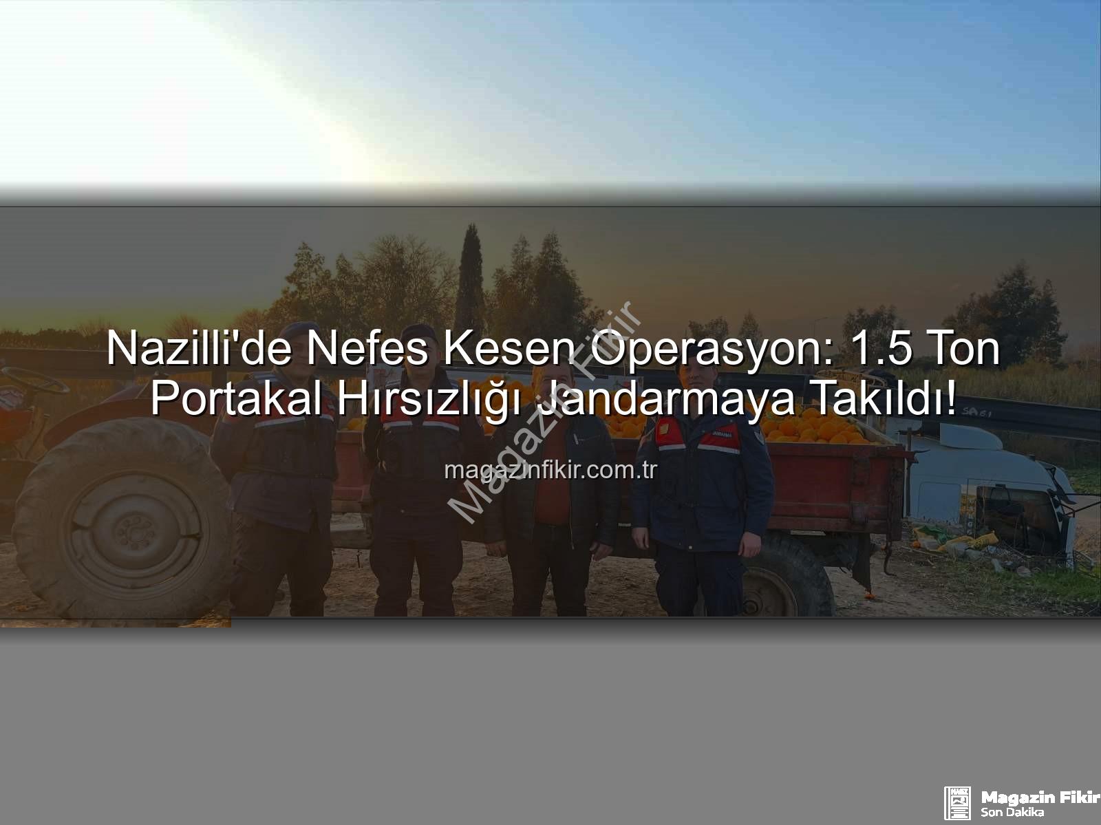 portakal hırsızlığı - Nazilli'de Nefes Kesen Operasyon: 1.5 Ton Portakal Hırsızlığı Jandarmaya Takıldı!