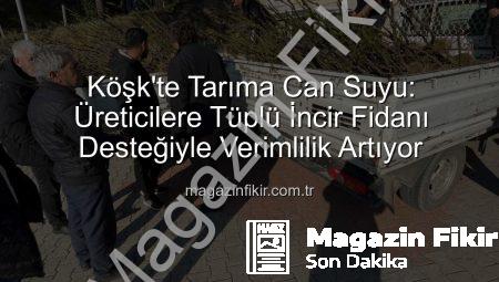 Köşk’te Tarıma Can Suyu: Üreticilere Tüplü İncir Fidanı Desteğiyle Verimlilik Artıyor