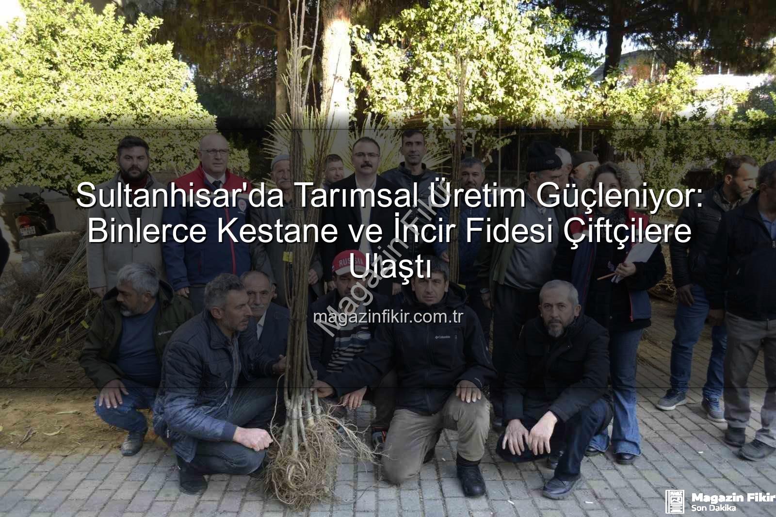 Sultanhisar fide dağıtımı - Sultanhisar'da Tarımsal Üretim Güçleniyor: Binlerce Kestane ve İncir Fidesi Çiftçilere Ulaştı