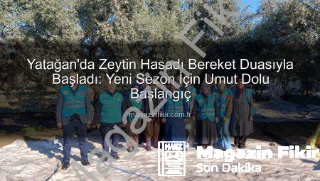 Yatağan’da Zeytin Hasadı Bereket Duasıyla Başladı: Yeni Sezon İçin Umut Dolu Başlangıç