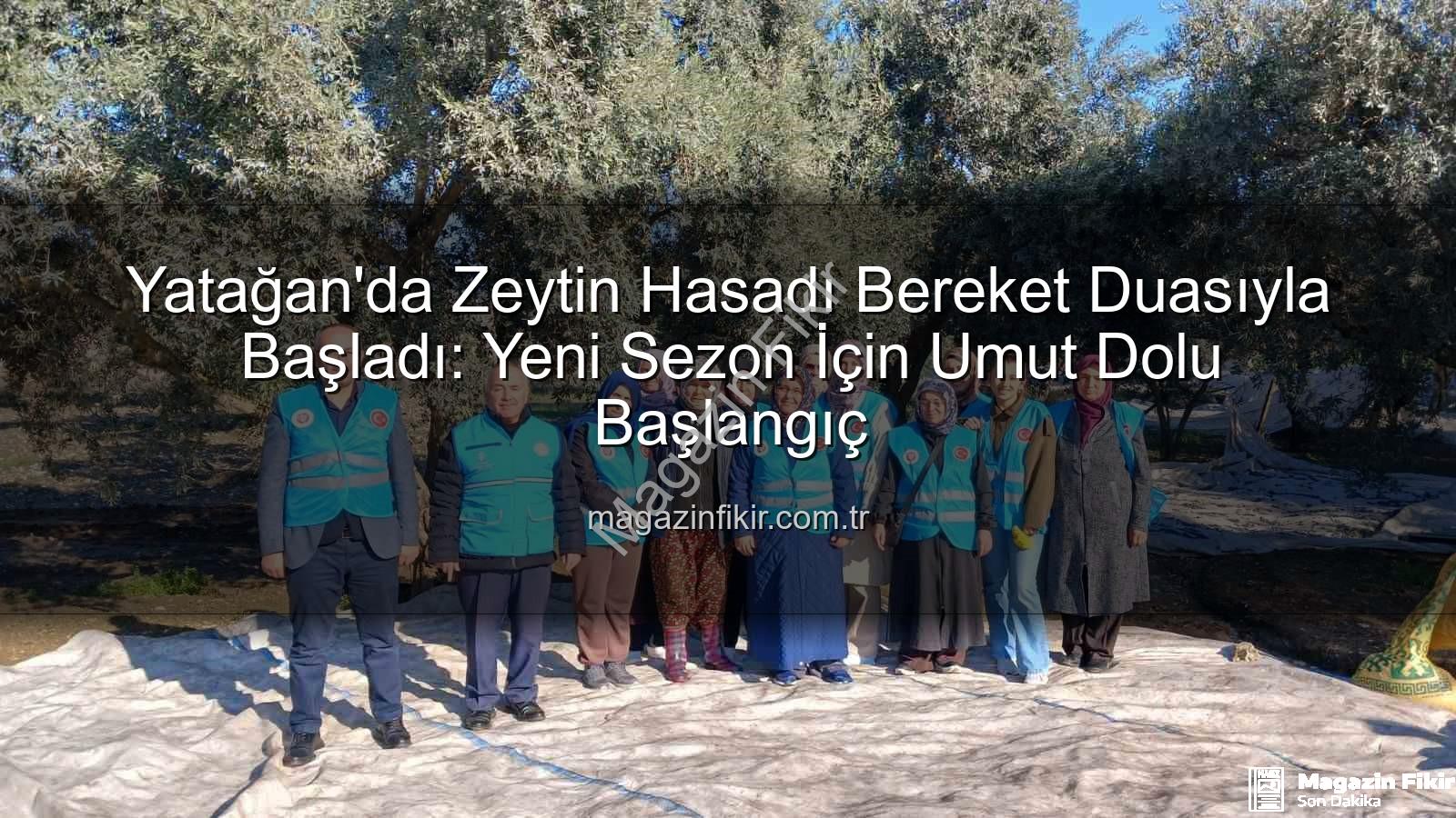 Yatağan zeytin hasadı - Yatağan'da Zeytin Hasadı Bereket Duasıyla Başladı: Yeni Sezon İçin Umut Dolu Başlangıç