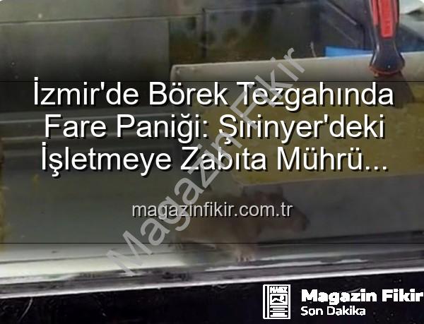 börek tezgahında fare - İzmir'de Börek Tezgahında Fare Paniği: Şirinyer'deki İşletmeye Zabıta Mührü Vuruldu