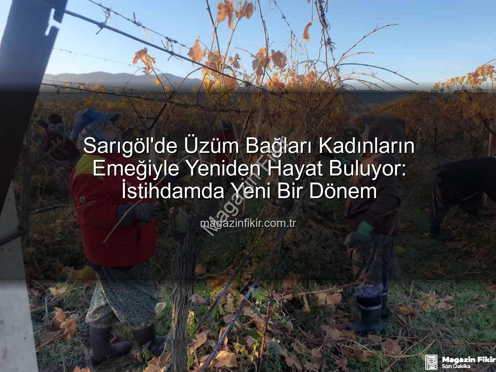 kadın istihdamı - Sarıgöl'de Üzüm Bağları Kadınların Emeğiyle Yeniden Hayat Buluyor: İstihdamda Yeni Bir Dönem