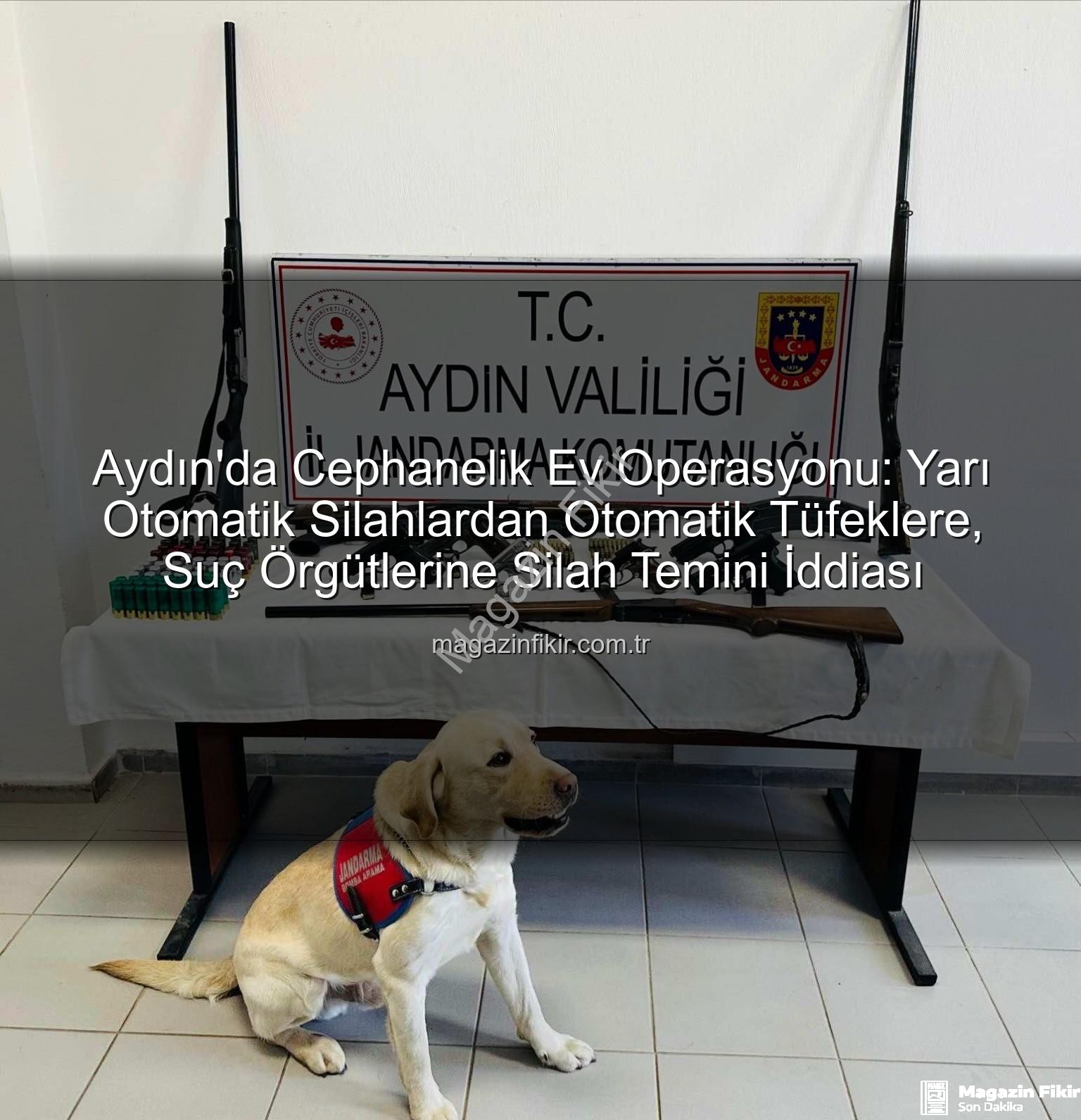 Aydın'da Cephanelik Ev Operasyonu: Yarı Otomatik Silahlardan Otomatik Tüfeklere, Suç Örgütlerine Silah Temini İddiası