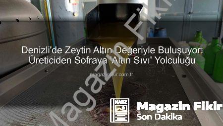 Denizli’de Zeytin Altın Değeriyle Buluşuyor: Üreticiden Sofraya ‘Altın Sıvı’ Yolculuğu
