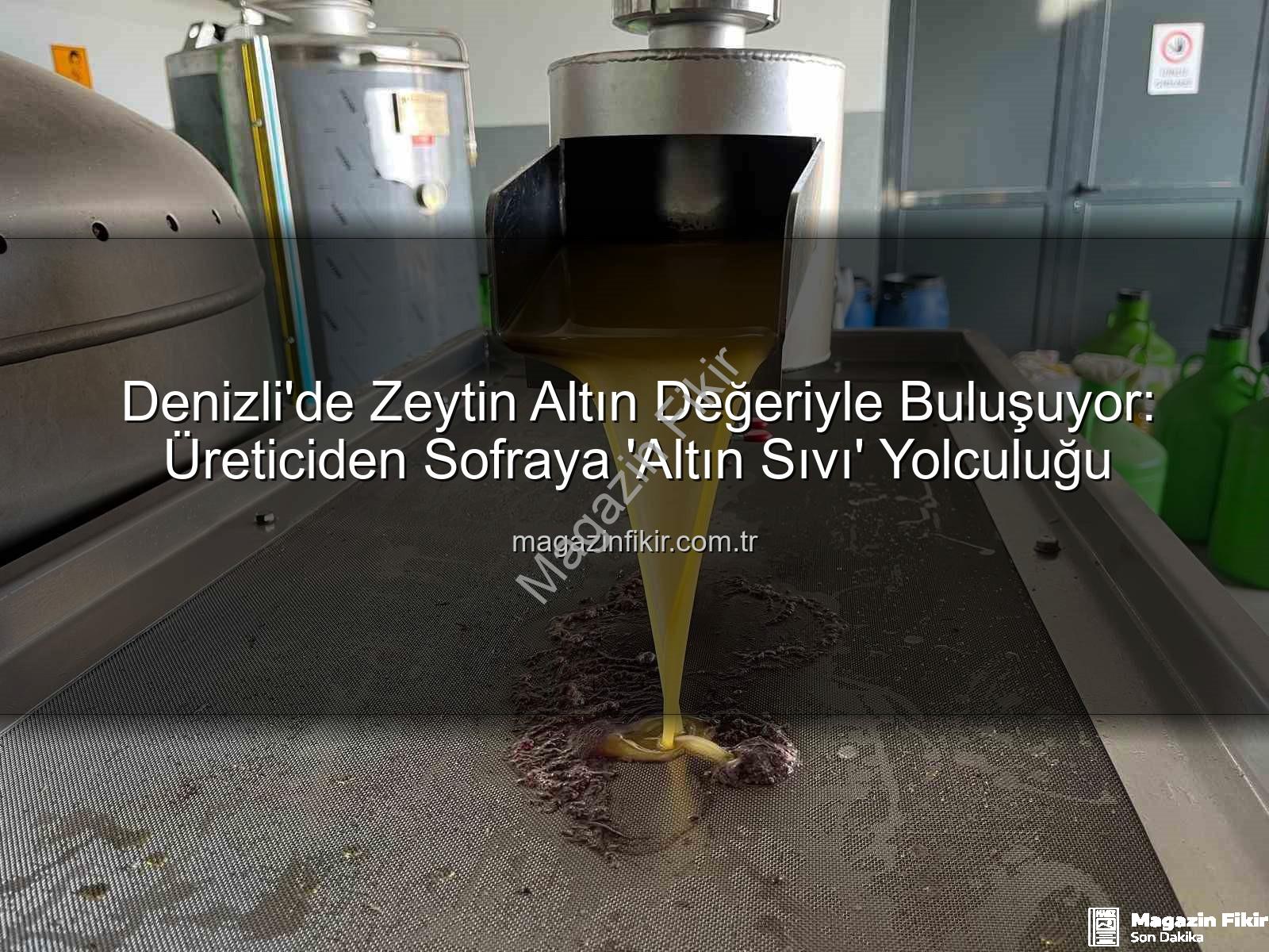 zeytinyağı üretimi - Denizli'de Zeytin Altın Değeriyle Buluşuyor: Üreticiden Sofraya 'Altın Sıvı' Yolculuğu