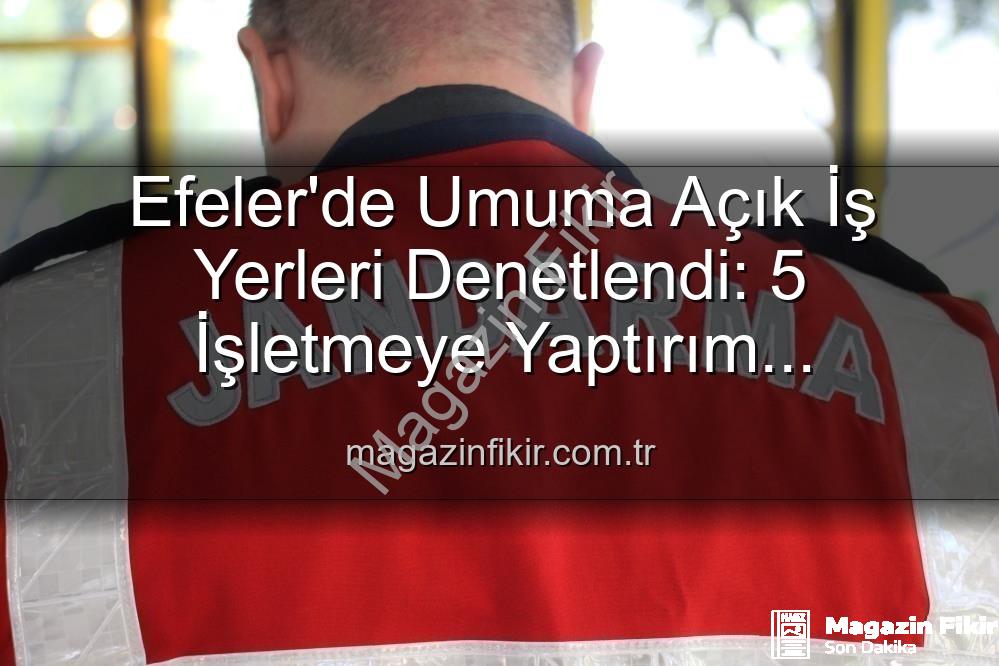 Efeler iş yeri denetimi - Efeler'de Umuma Açık İş Yerleri Denetlendi: 5 İşletmeye Yaptırım Uygulandı