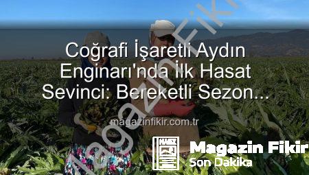 Coğrafi İşaretli Aydın Enginarı’nda İlk Hasat Sevinci: Bereketli Sezon Başladı!
