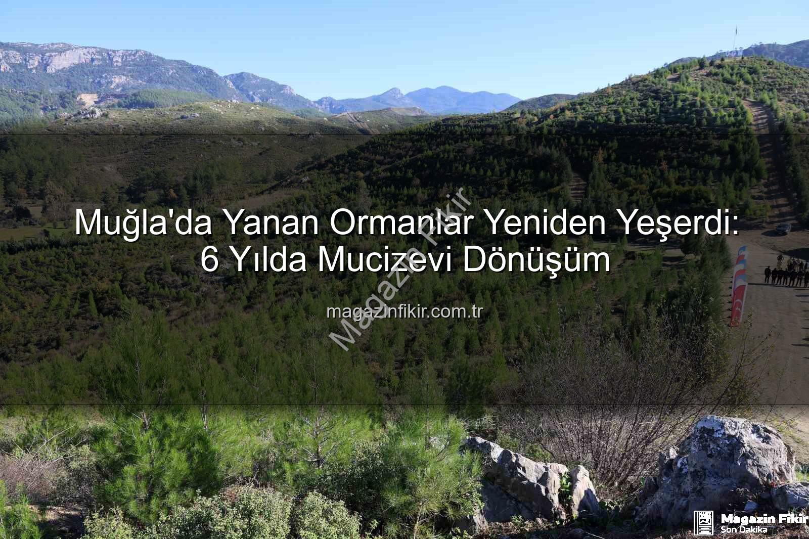yanan ormanlar yeniden yeşerdi - Muğla'da Yanan Ormanlar Yeniden Yeşerdi: 6 Yılda Mucizevi Dönüşüm