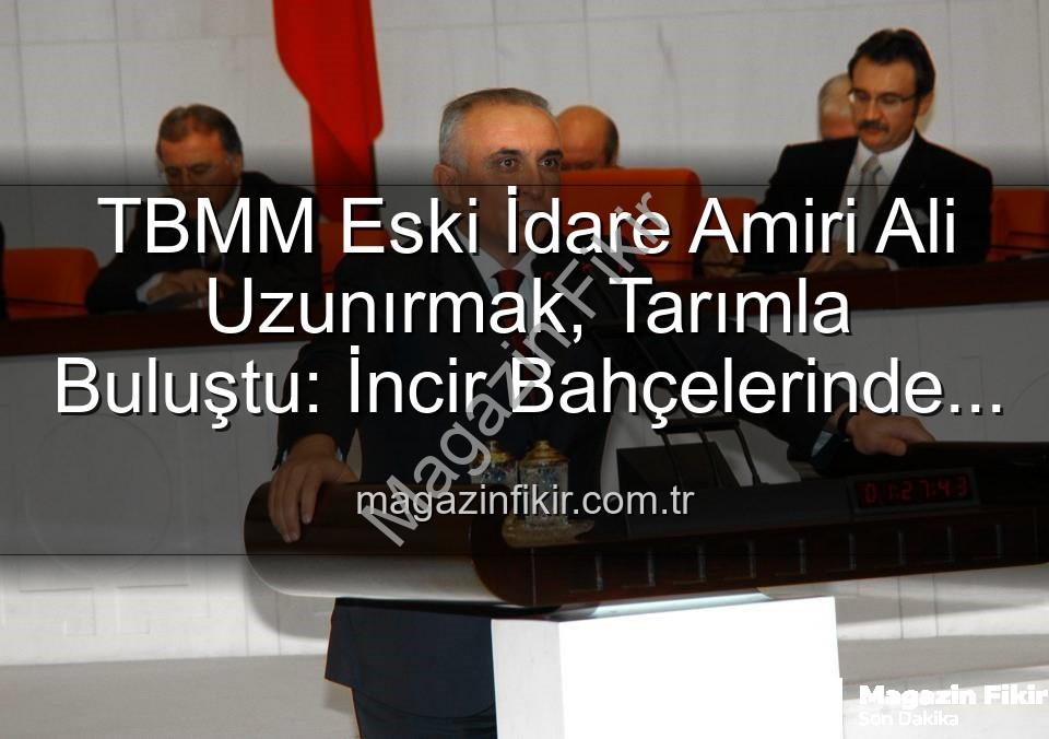 Ali Uzunırmak tarım - TBMM Eski İdare Amiri Ali Uzunırmak, Tarımla Buluştu: İncir Bahçelerinde Yeni Bir Sayfa Açıyor