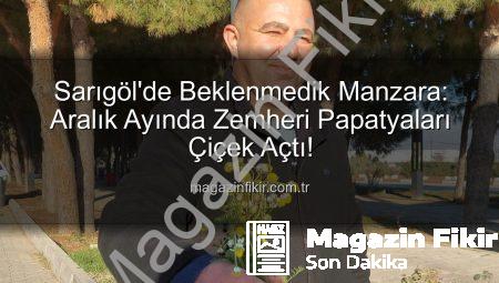 Sarıgöl’de Beklenmedik Manzara: Aralık Ayında Zemheri Papatyaları Çiçek Açtı!